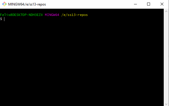Empty-gitbash.png